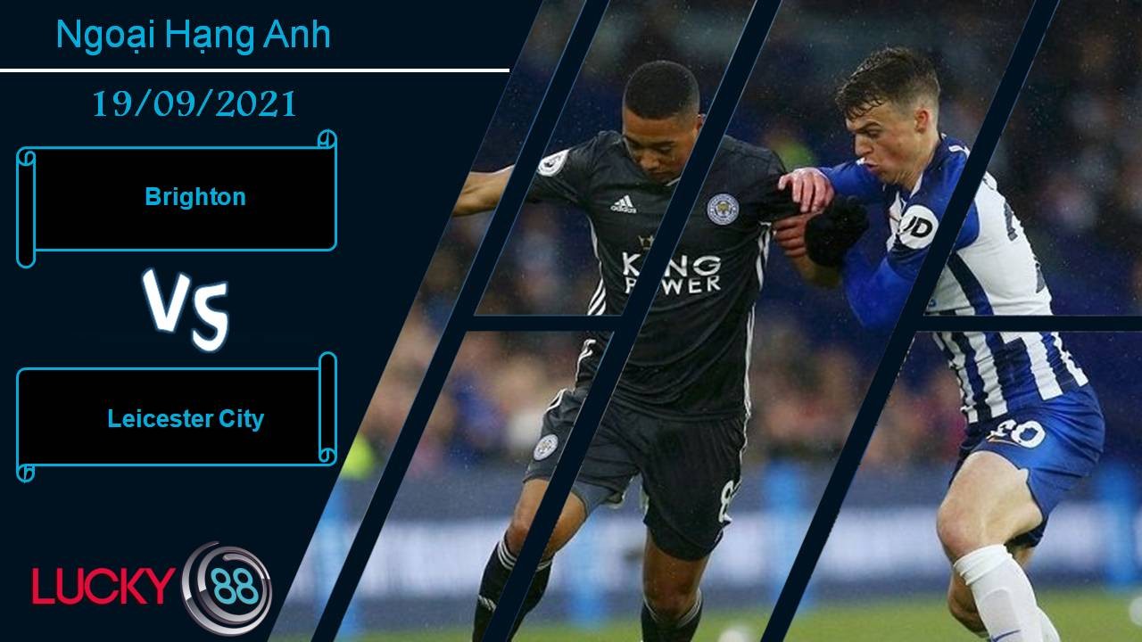 LUCKY88 Brighton vs Leicester City, Nhận định bóng đá 19/09/2021, Bắn hạ Hải âu